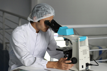 Medical Device